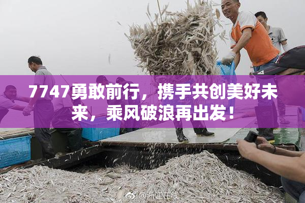 7747勇敢前行，携手共创美好未来，乘风破浪再出发！