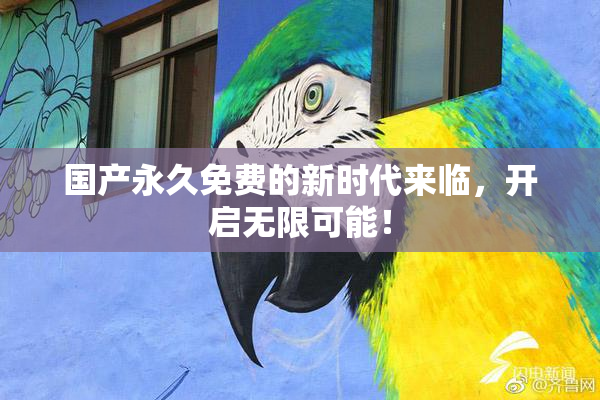 国产永久免费的新时代来临，开启无限可能！