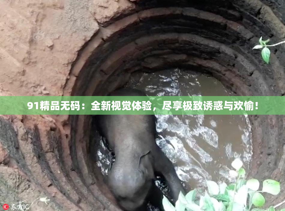 91精品无码：全新视觉体验，尽享极致诱惑与欢愉！