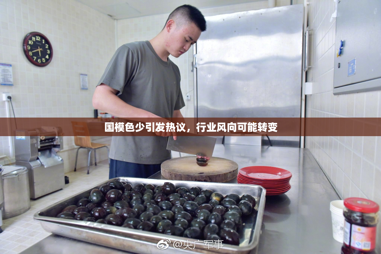 国模色少引发热议，行业风向可能转变