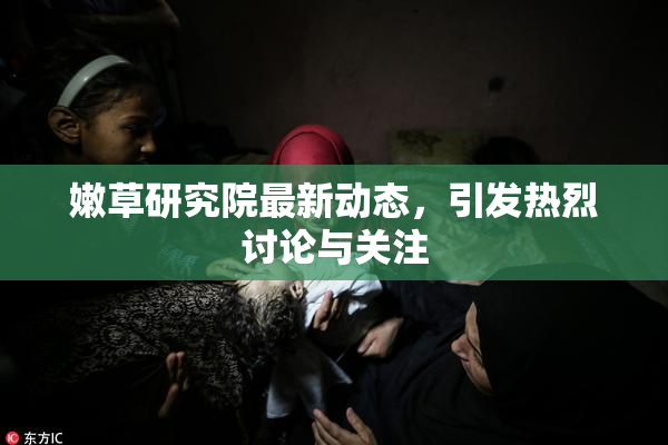 嫩草研究院最新动态，引发热烈讨论与关注