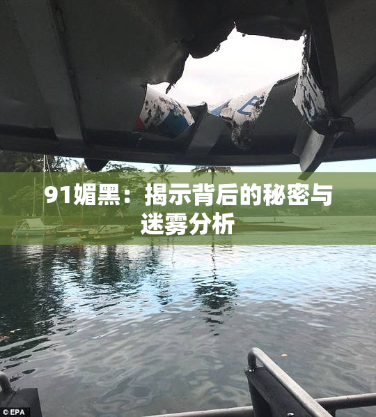91媚黑：揭示背后的秘密与迷雾分析