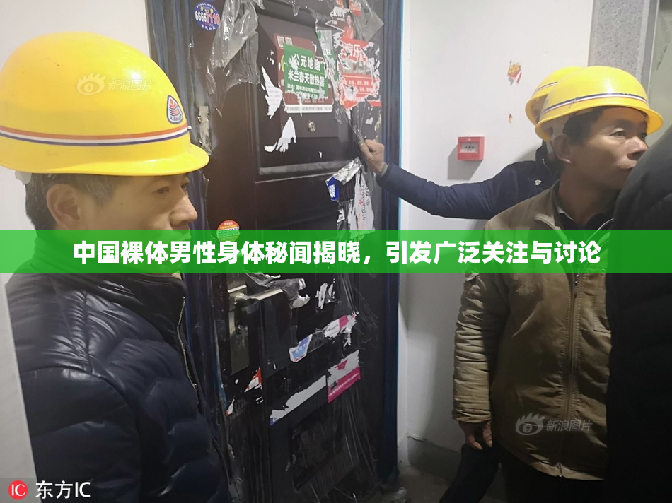 中国裸体男性身体秘闻揭晓，引发广泛关注与讨论
