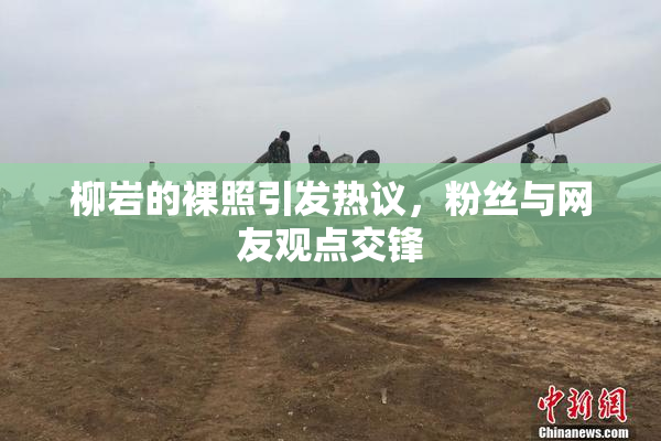 柳岩的裸照引发热议，粉丝与网友观点交锋