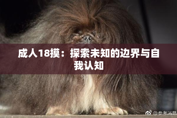 成人18摸：探索未知的边界与自我认知