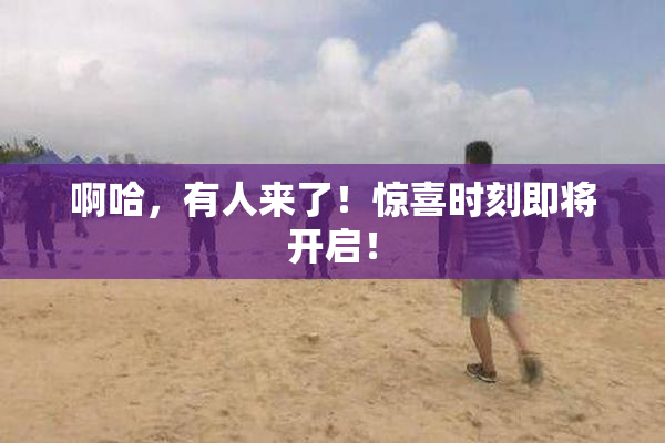 啊哈，有人来了！惊喜时刻即将开启！