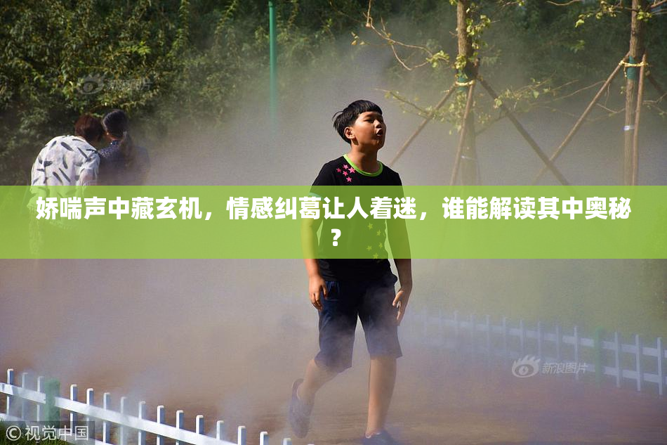 娇喘声中藏玄机，情感纠葛让人着迷，谁能解读其中奥秘？