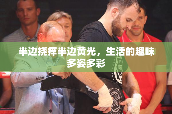 半边挠痒半边黄光，生活的趣味多姿多彩