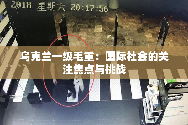 乌克兰一级毛重：国际社会的关注焦点与挑战