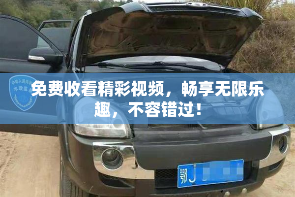 免费收看精彩视频，畅享无限乐趣，不容错过！