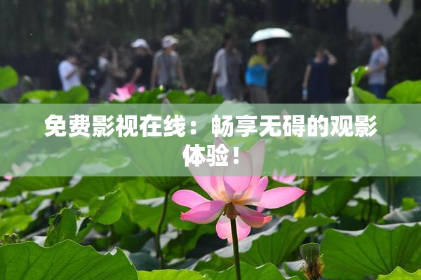 免费影视在线：畅享无碍的观影体验！