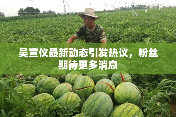 吴宣仪最新动态引发热议，粉丝期待更多消息