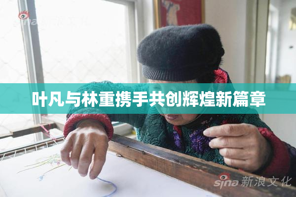 叶凡与林重携手共创辉煌新篇章