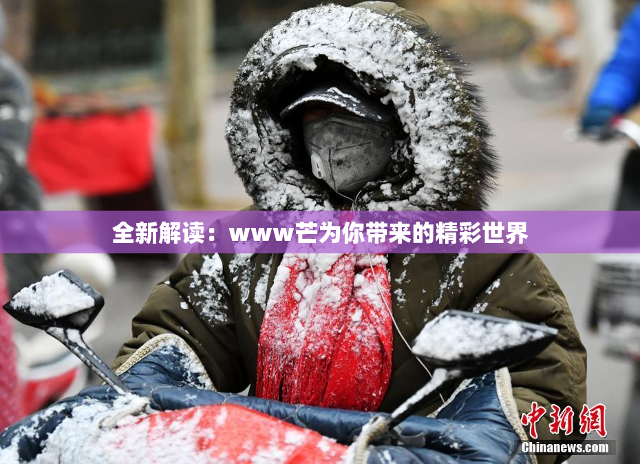 全新解读：www芒为你带来的精彩世界
