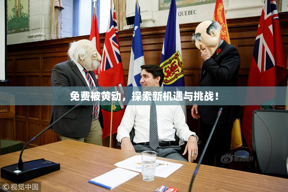 免费被黄动，探索新机遇与挑战！
