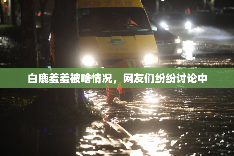 白鹿羞羞被啥情况，网友们纷纷讨论中