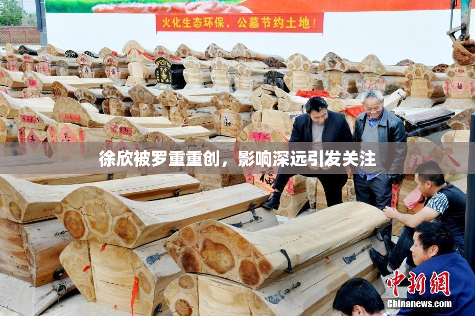 徐欣被罗重重创，影响深远引发关注