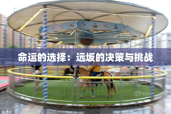 命运的选择：远坂的决策与挑战