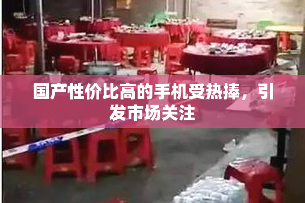 国产性价比高的手机受热捧，引发市场关注