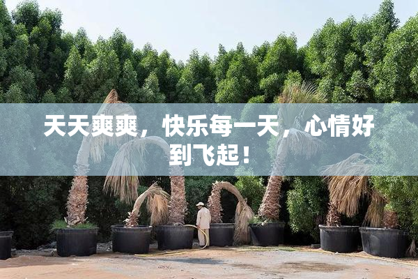 天天爽爽，快乐每一天，心情好到飞起！