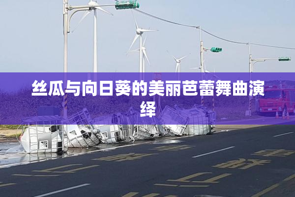 丝瓜与向日葵的美丽芭蕾舞曲演绎