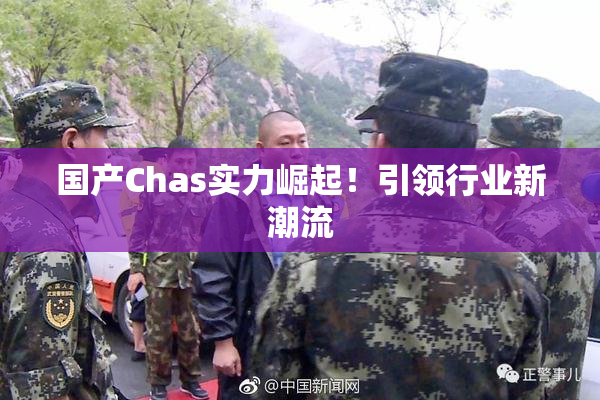 国产Chas实力崛起！引领行业新潮流