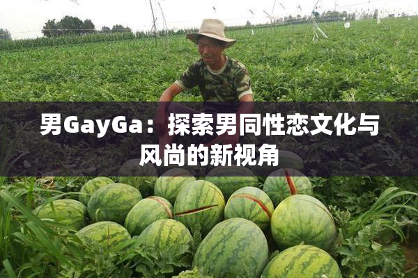 男GayGa：探索男同性恋文化与风尚的新视角