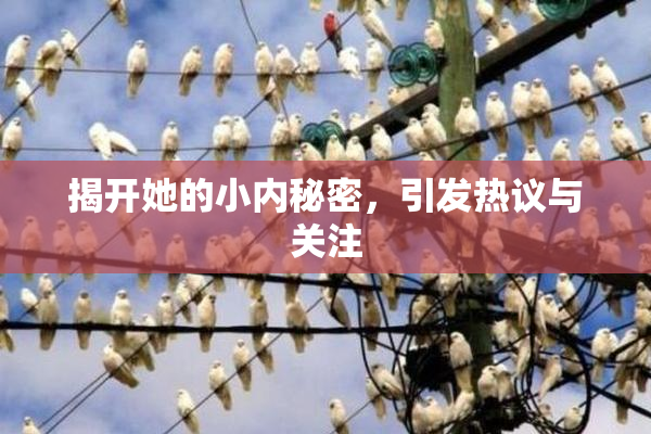 揭开她的小内秘密，引发热议与关注