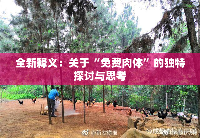 全新释义：关于“免费肉体”的独特探讨与思考
