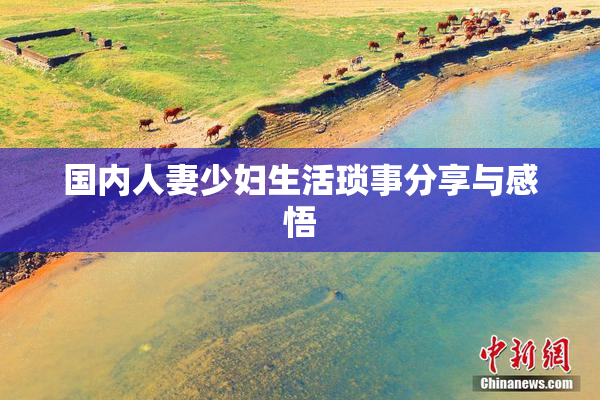 国内人妻少妇生活琐事分享与感悟