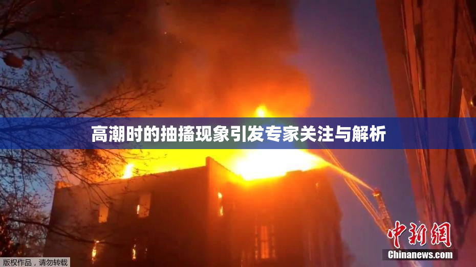 高潮时的抽搐现象引发专家关注与解析