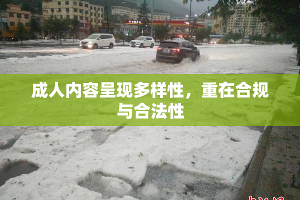 成人内容呈现多样性，重在合规与合法性
