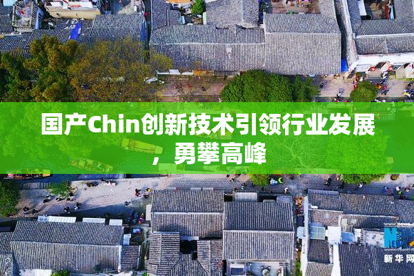 国产Chin创新技术引领行业发展，勇攀高峰