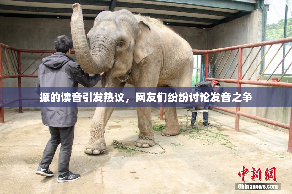 撅的读音引发热议，网友们纷纷讨论发音之争