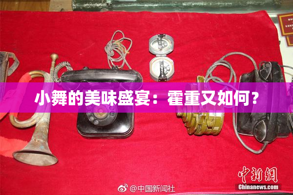 小舞的美味盛宴：霍重又如何？