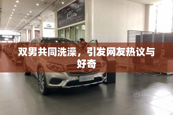 双男共同洗澡，引发网友热议与好奇