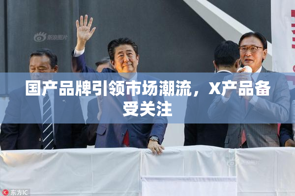 国产品牌引领市场潮流，X产品备受关注