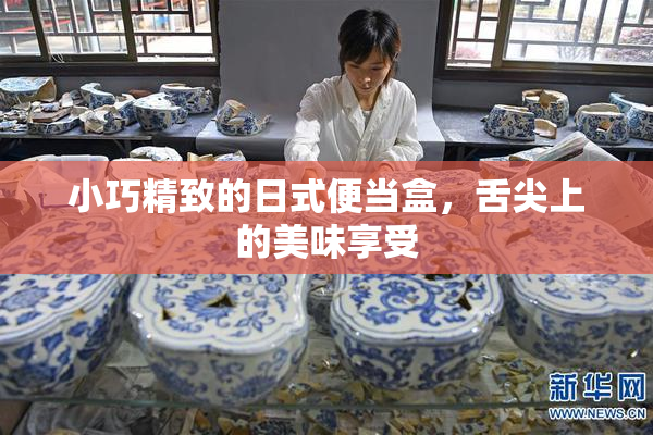 小巧精致的日式便当盒，舌尖上的美味享受