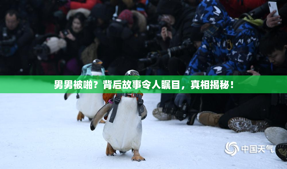 男男被啪？背后故事令人瞩目，真相揭秘！