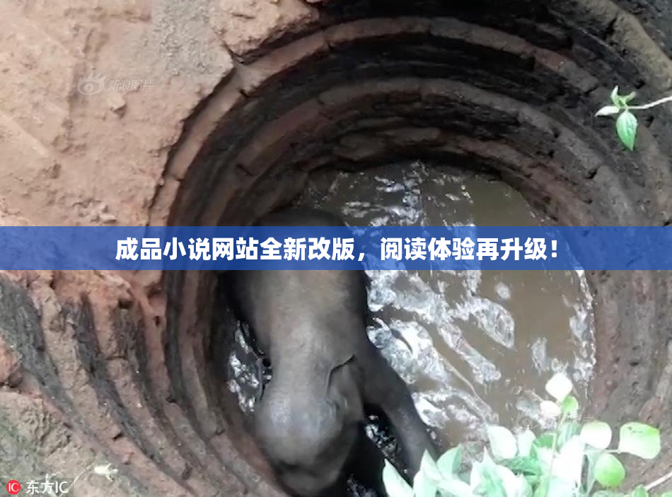 成品小说网站全新改版，阅读体验再升级！
