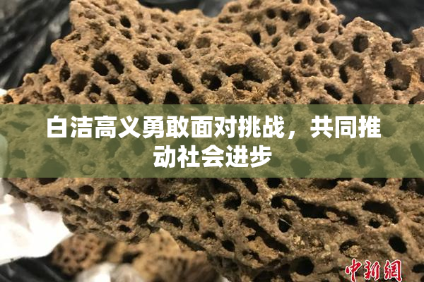 白洁高义勇敢面对挑战，共同推动社会进步
