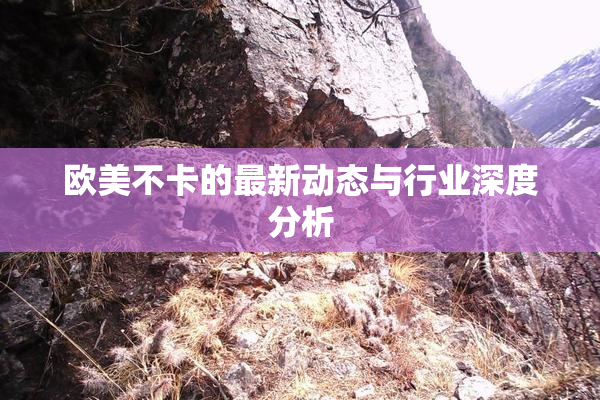 欧美不卡的最新动态与行业深度分析
