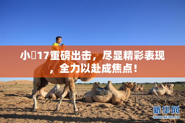 小泬17重磅出击，尽显精彩表现，全力以赴成焦点！
