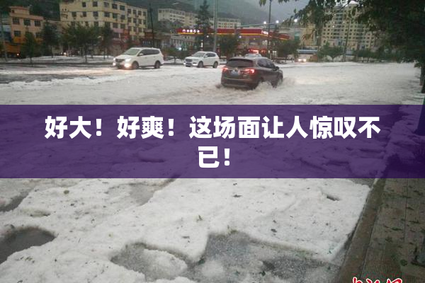 好大！好爽！这场面让人惊叹不已！