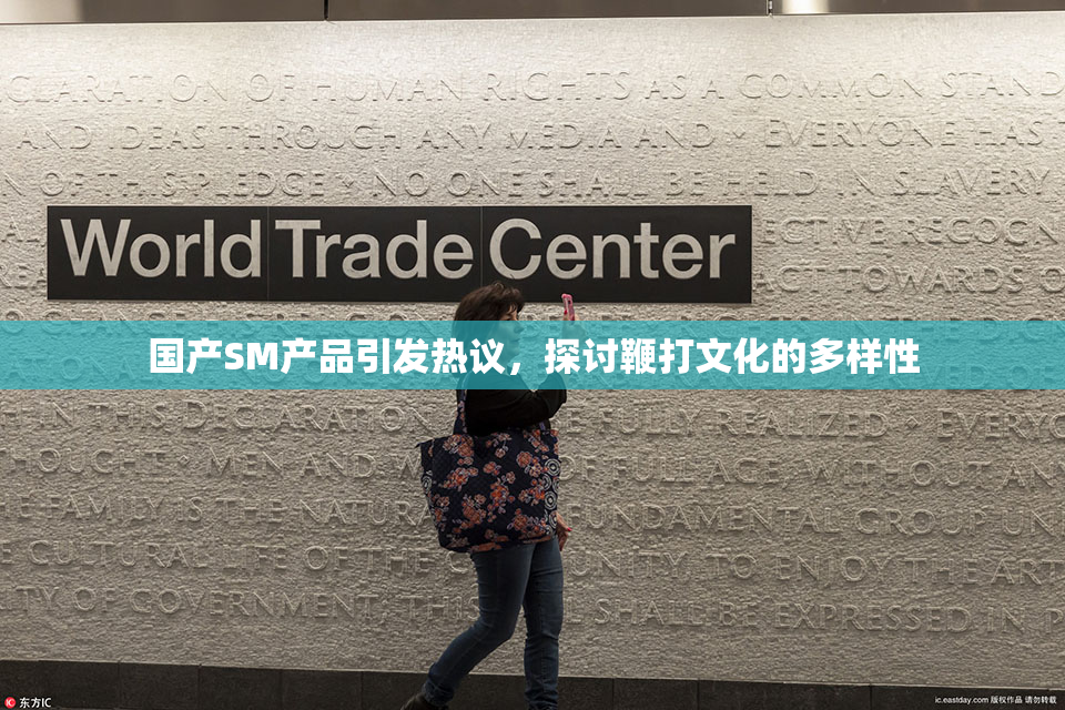 国产SM产品引发热议，探讨鞭打文化的多样性