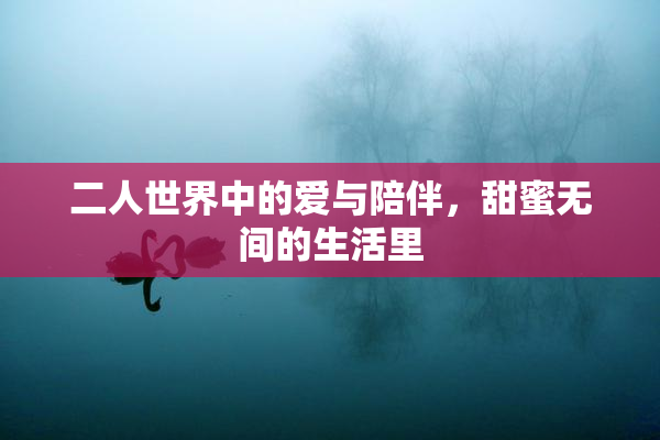 二人世界中的爱与陪伴，甜蜜无间的生活里