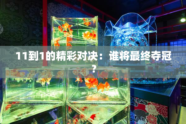 11到1的精彩对决：谁将最终夺冠？