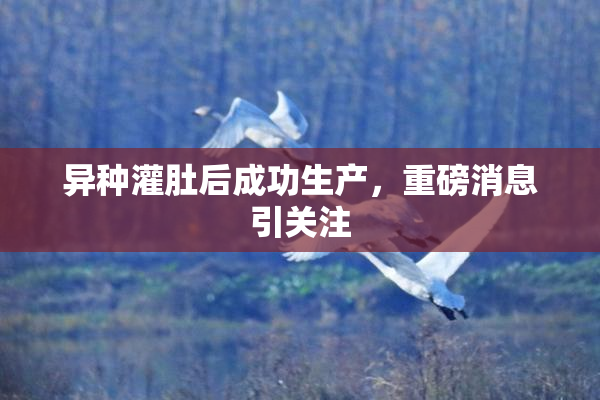 异种灌肚后成功生产，重磅消息引关注