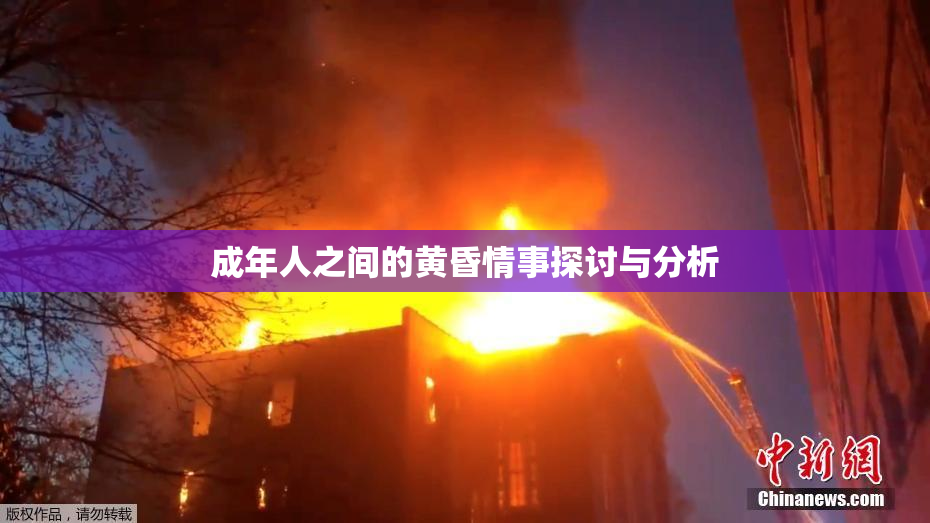 成年人之间的黄昏情事探讨与分析