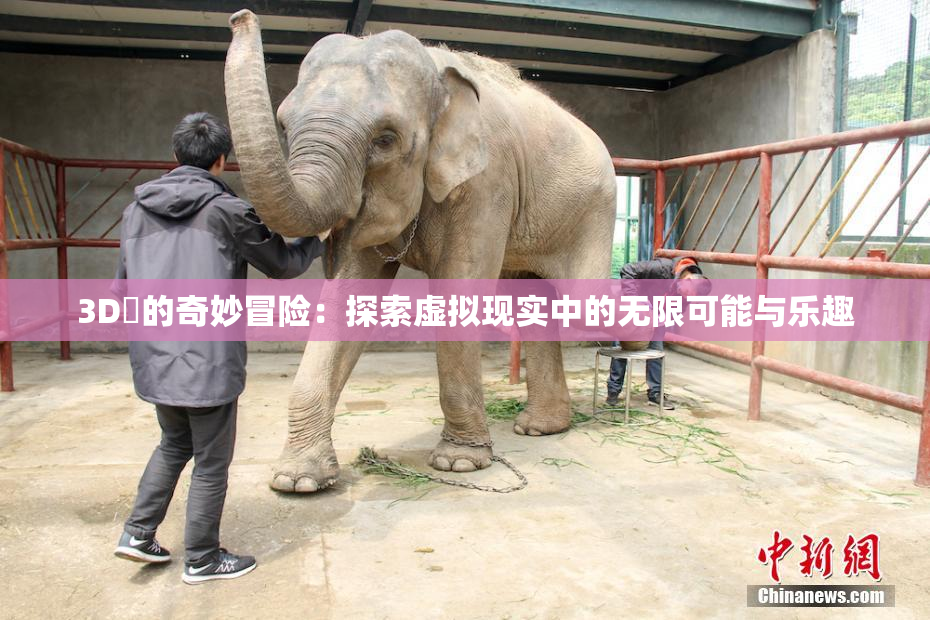 3D姉的奇妙冒险：探索虚拟现实中的无限可能与乐趣
